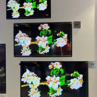 تلوزیون ۴۳ تا ۸۶ اینچ وارداتی LED UHD