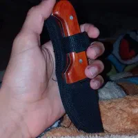 چاقو کلکسیونی