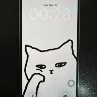 آیفون ۱۲ پرومکس ۲۵۶