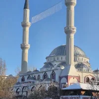 تورگروهی وان