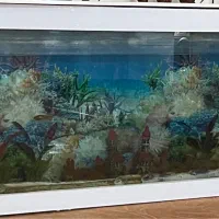 آکواریوم ۲ متری سالم