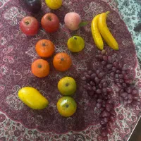 میوه مصنوعی|صنایع دستی و سایر لوازم تزئینی|تهران, شهرک دریا|دیوار