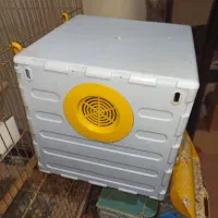 جفت طوطی برزیلی مولد|پرنده|کرمانشاه, |دیوار