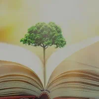 تدریس خصوصی پایه اول و دوم ابتدایی