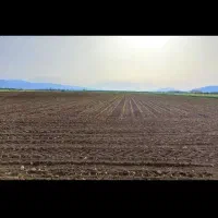 زمین کشاورزی احمدآباد(گدای)