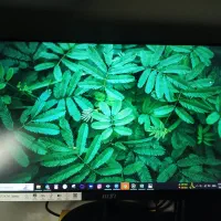 مانیتور msi گیمینگ ۲۴اینچ|قطعات و لوازم جانبی رایانه|تبریز, |دیوار