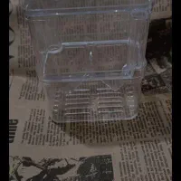 آکواریوم|ماهی|پاکدشت, پاکدشت (مامازند)|دیوار