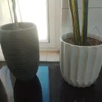 گلدان سفالی|گل و گیاه طبیعی|بومهن, |دیوار