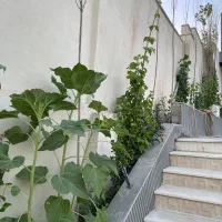 ویلا آماده در بهترین لوکشین بومهن|فروش خانه و ویلا|بومهن, |دیوار