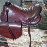 اسب