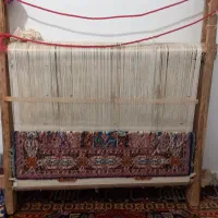 فرش زرنیم گنبد|فرش|صوفیان, |دیوار