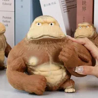 گوریل شنی قیمت عمده