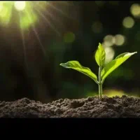 اولین نمایندگی‌ کود های ارگانیک در فرخشهر