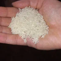 برنج شاهرودی اعلا