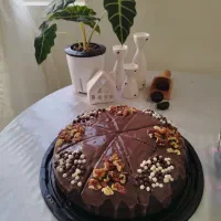 کیک خونگی|خوردنی و آشامیدنی|شیراز, سینما سعدی|دیوار