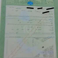 خونه-فروشی-شهید-آوینی-10