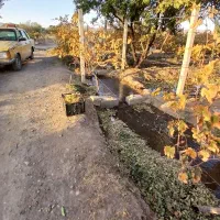 فروش فوری باغ در روستای آغجه اوبه شهرستان عجبشیر|فروش زمین و ملک کلنگی|عجب شیر, |دیوار