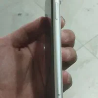 آیفون 11|موبایل|سلماس, |دیوار