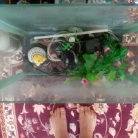 تعدادی وسائل نو وکارکرده|سایر لوازم برقی|تبریز, |دیوار