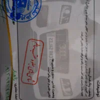 تیبا ۲ مدل ۹۸|خودرو سواری و وانت|کرمان, |دیوار