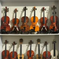 ویلن هافنر Hofner|ویولن|تهران, شهرک غرب|دیوار