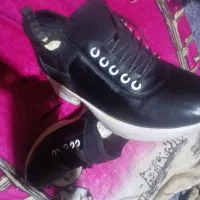 کفش..اسپرت..|کیف، کفش، کمربند|بندرعباس, |دیوار