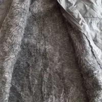 بادگیر خزدار داخل پشم