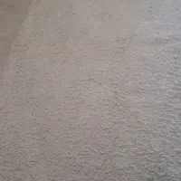 ۴متری فرش تدی سفید|فرش|رشت, دیلمان|دیوار