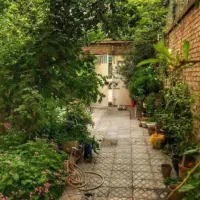 حیاط-کلنگی-جنوبی-ولیعصر-لیدای-جدید