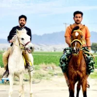 اسب مسابقه ای