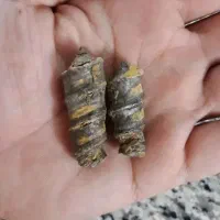 مهره خاص|جواهرات|کرمان, |دیوار