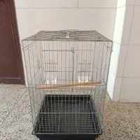 قفس طوطی عروس هلندی|لوازم جانبی حیوانات|الوند, |دیوار