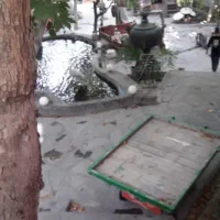 کادگر ساده