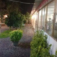 نیروی کار آقا ترجیها جوان