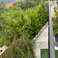 ویلا ۲۰۰ متر ، دوبلکس ، روستا سی پی