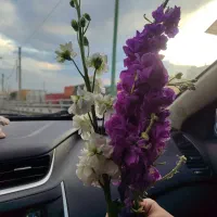 تخفیف عیدانه بیمه شخص ثالث و بدنه /نقدی