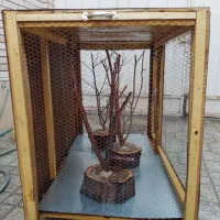 قفس چوبی زیبا|لوازم جانبی حیوانات|شهرضا, |دیوار