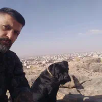 کین کورسو|سگ|خمین, |دیوار