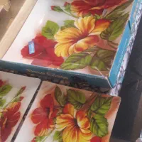 دیس پیش دستی زیر قیمت شوش