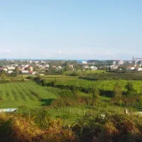 1500متر زمین تسطیع شده ویو ابدی قنبر محله