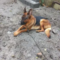 واگذاری این پسر ودختر نازو شیطون