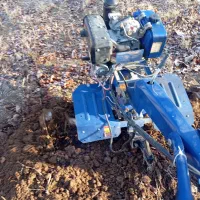 سمپاشی چال کود تیلر هرس|خدمات باغبانی و درختکاری|سنندج, |دیوار