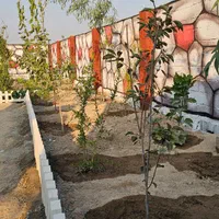 باغ،باغچه،۱۹۸ متر،شهرکی،نگهبانی|فروش زمین و ملک کلنگی|شهریار, اصیل آباد|دیوار