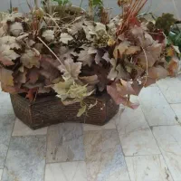 گل وگلدون|گل مصنوعی|ورامین, شهرک فجر|دیوار