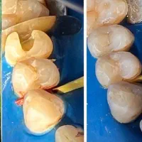 جشنواره خدمات دندانپزشکی|خدمات آرایشگری و زیبایی|تربت‌حیدریه, مسجد جامع|دیوار