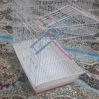 قفس پرنده کلبه ای|لوازم جانبی حیوانات|سهند, |دیوار