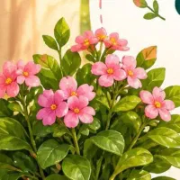 ادیت عکس حرفه ای و نچرال