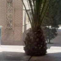 مغازه تجاری