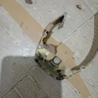 دو عدد ساعت مچی اصل|ساعت|زابل, |دیوار