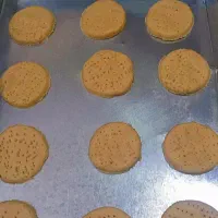 آموزش زنجبیلی